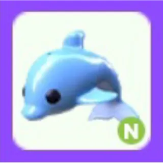 Pet | Dolphin N Neon