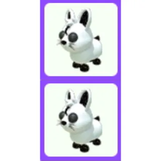 Pet | Moon Rabbit Bundle x2