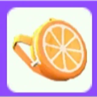 Orange Backpack