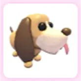Bloodhound