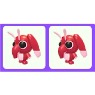Snorgle x2