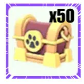 Regal Chest x50