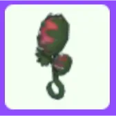 Venus Fly Trap Rattle