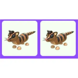 Banded Palm Civet x2