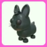Amami Rabbit