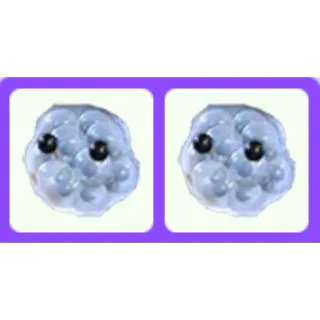 Pet | Frogspawn Bundle x2