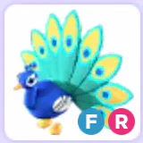 Pet | Peacock FR