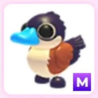 Ruddy Duck M Mega