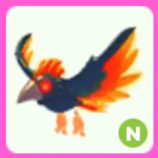Storm Condor N