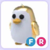 Pet | Golden Penguin FR