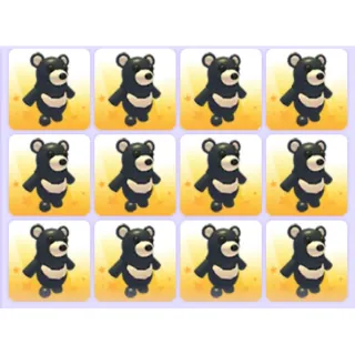 Bundle | Black Moon Bear x12 Pets