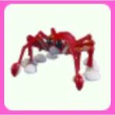 Spider Crab