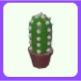 Cactus Plushie Chew Toy