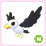 Pilot Gull N