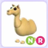 Pet | Camel NR Neon