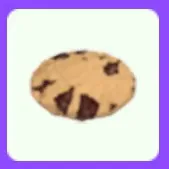 Cookie (Old Food)