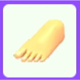 Human Feet Shoes