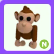 Pet | Monkey N Neon