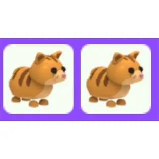 Ginger Cat x2