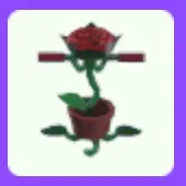 Rose Pogo