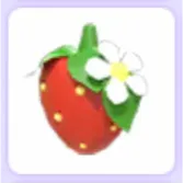 Limited | Strawberry Clip