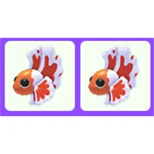 Orange Betta Fish x2