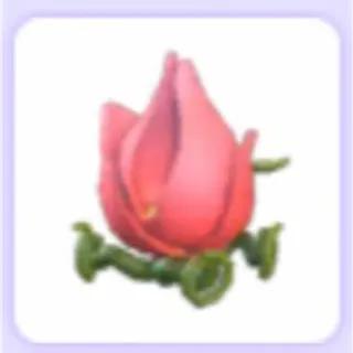 Tulip Stroller