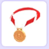 Bronze Medal