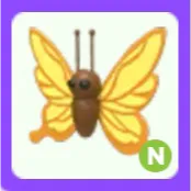 Pet | Yellow Butterfly N Neon