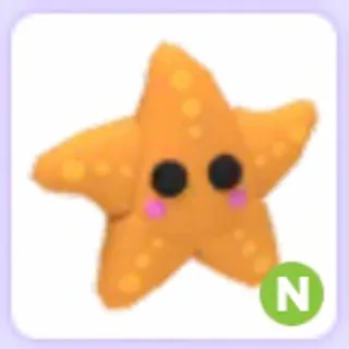 Starfish N