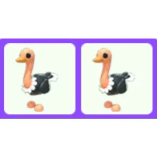 Pet | Ostrich Bundle x2