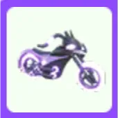 Limited | Shadow Rider BLACK
