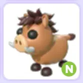 Pet | Warthog N