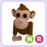 Pet | Monkey NR Neon