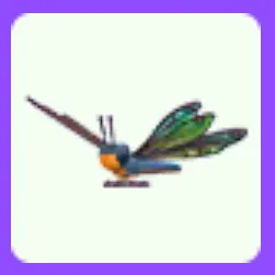 Clubtail Dragonfly