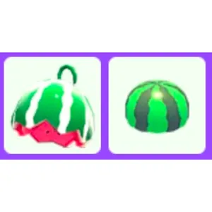 Watermelon Pet Wear x2