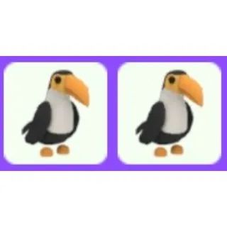 Toucan x2
