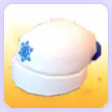 White Winter Hat