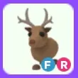 Pet | Reindeer FR