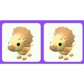 Pet | Triceratops x2