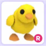 Pet | Chick R