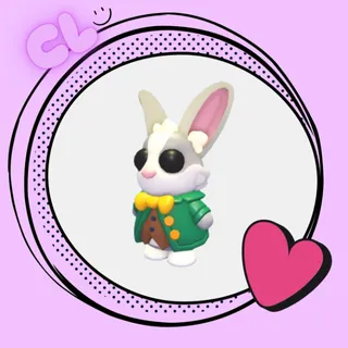 Mr. Whiskerpips