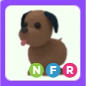 Pet | Chocolate Labrador NFR
