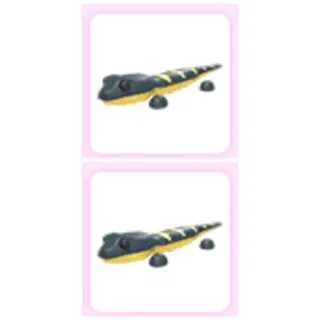 Salamander X2
