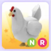 Pet | Chicken NR Neon