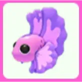 Pink Betta Fish
