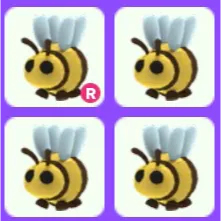 Pet | Bee R Bundle x4