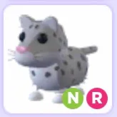 Pet | Snow Leopard NR Neon