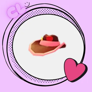 Pink Cowboy Hat