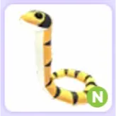 Yellow Lipped Sea Krait N